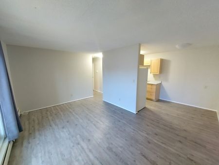 Unit Available in Mature Area of Downtown! One Month Free Rent!! - Photo 4