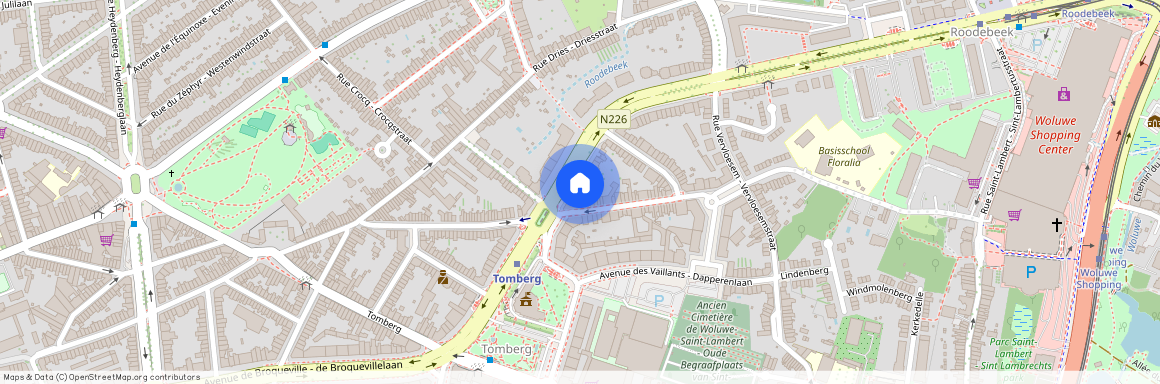 Avenue Paul Hymans, 18, 1200, Woluwe-Saint-Lambert