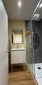 Location Appartement 1 pièce 18m² - Photo 3