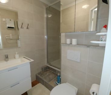 Location Appartement 1 pièce 21m² - Photo 4