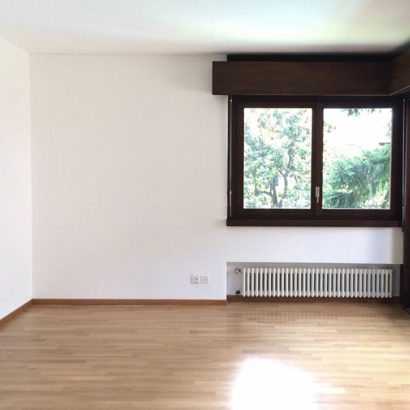 2.5 locali fronte lago con balcone - Photo 1