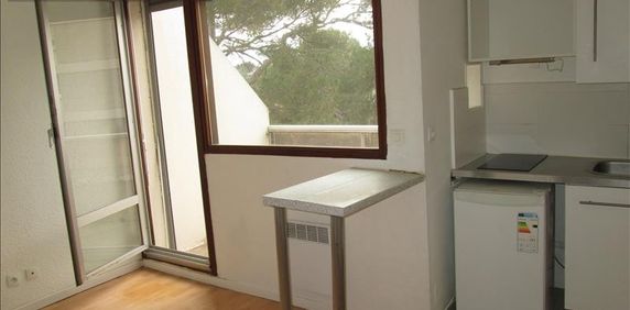Location Appartement 1 pièce 20m² - Photo 2