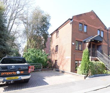 1b Windsor Mews, BT96FD, Belfast - Photo 5