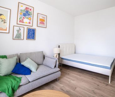 Location Appartement 1 pièce Meublé 26m² NANTES 44100 - Photo 3