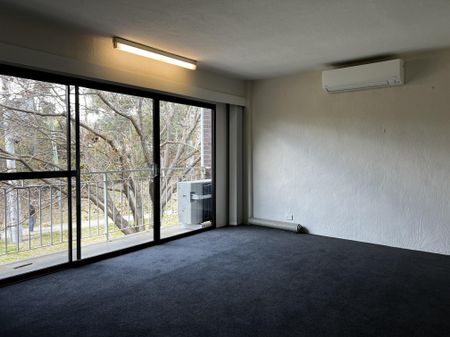 Charming Two Bedroom Unit in Farrer - Photo 3