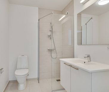 Kæledyr tilladt efter aftale - Photo 4