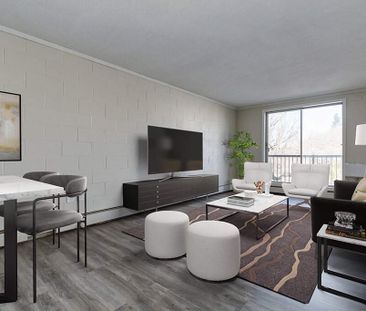 Renovated Suite - 1 Bedroom - Photo 6
