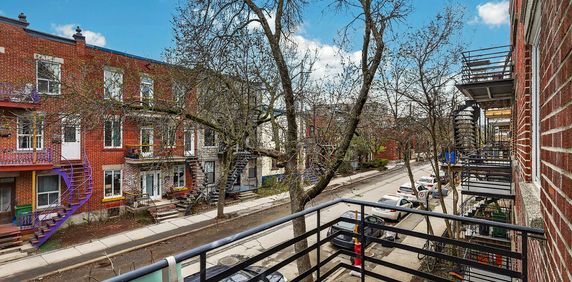 4 1/2 Luxueux 2 CAC Neuf Dans Rosemont - Photo 2