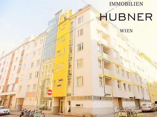 Großzügig geschnittene DG-Wohnung mit West-Terrasse (ABENDSONNE!!!) - Photo 1