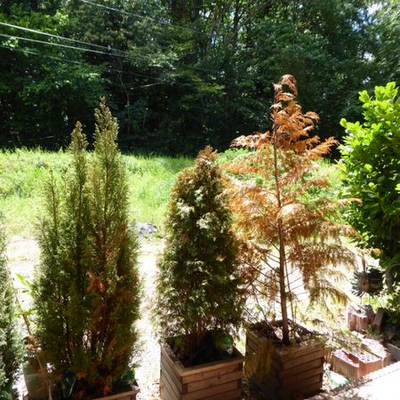 Appartement à louer F3 à Lemberg - Photo 4