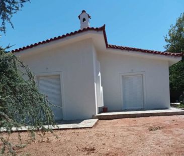 Μονοκατοικία για ενοικίαση Κέντρο (Μαρκόπουλο) - Photo 6