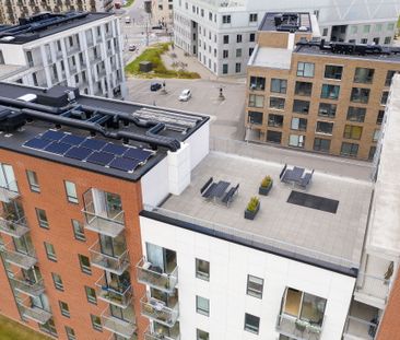 Moderne lejebolig i Odense M med fælles tagterrasse - perfekt til s... - Foto 1