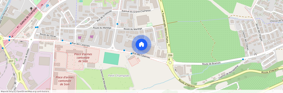 1950, Sitten, Route Du Manège, 60