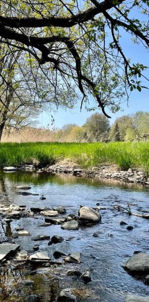 4 ½ à Louer, Très Belle Vue! - Photo 1