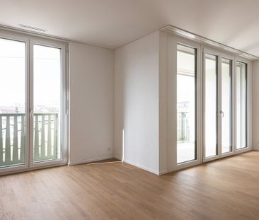 IM EICHFELD - mein Jona, mein Zuhause - Photo 5