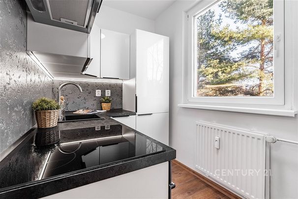 Pronájem bytu 1+1 35 m² - Photo 1