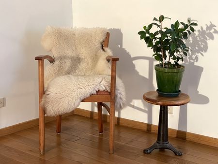 Sublieme HOB op St.-Elisabethparochie - Photo 3