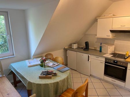 Traumhafte Wohnung in ruhiger Lage ☀️ - Photo 2