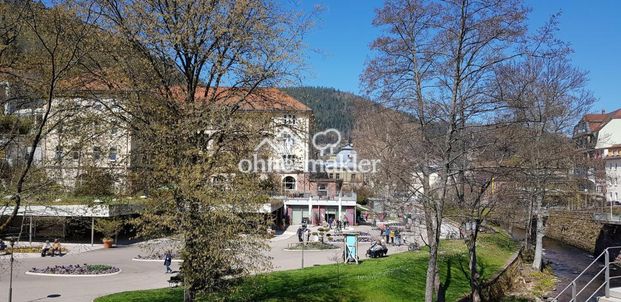 Helle 2,5 Zi-Wohnung Balkon Aufzug Parkett Kurplatz Bad Wildbad top zentral Fussgängerzone - Foto 1