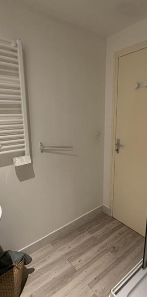 Location Appartement 1 pièce Meublé 19m² BLOIS 41000 - Photo 1