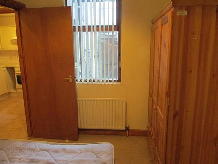 Great Apartment, 8A Westminster Street, Botanic Area ~ Behind Queens, Belfast - Photo 5