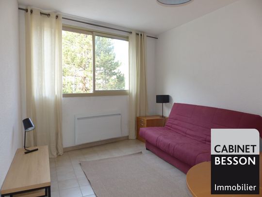 Location Appartement 1 pièce 26m² GRENOBLE 38000 - Photo 1