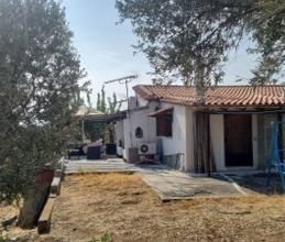 Μονοκατοικία για ενοικίαση - Αμάρυνθος, - Photo 3