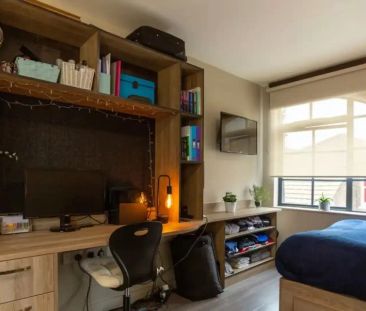 Large Studio Plus - Photo 2