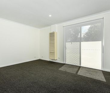 FULLY RENOVATED & SPACIOUS! - Photo 5