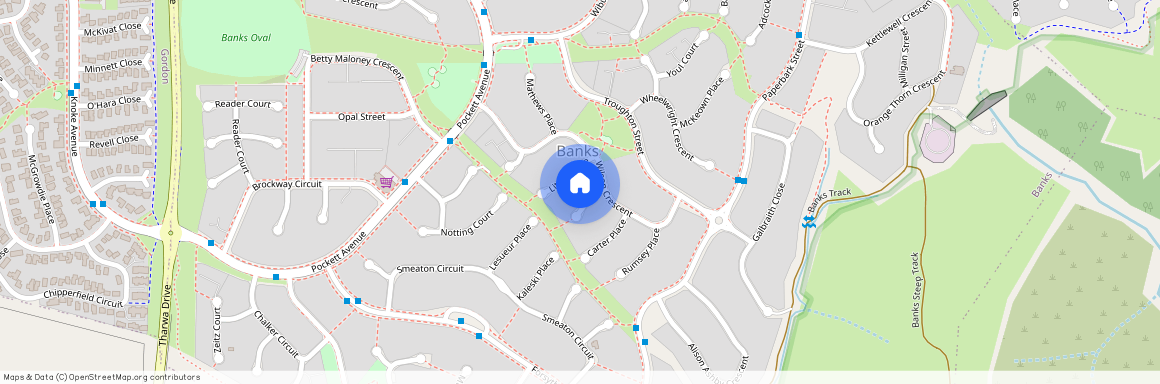 4 Stead Place, Banks Australia