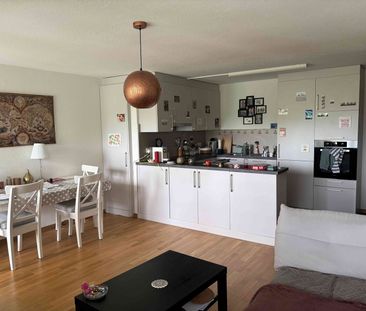 2.5 Zimmer, 42 m², 2. Stock - Foto 1