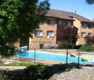 Convenient Living in Vibrant Kaleen - Photo 5
