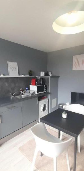 Location Appartement 1 pièce 21m² NAZELLES NEGRON 37530 - Photo 1