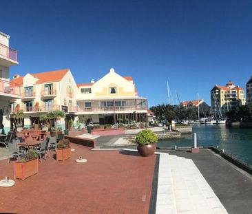 Modern Studio Apartment for Rent in Gulf Harbour - Photo 4