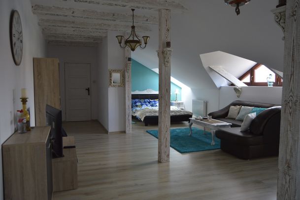 Apartament typu studio pod Opolem. Wysoki standard. Pakiet TV oraz internet w cenie. - Photo 1