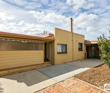 "As rare as hens' teeth" - Photo 1