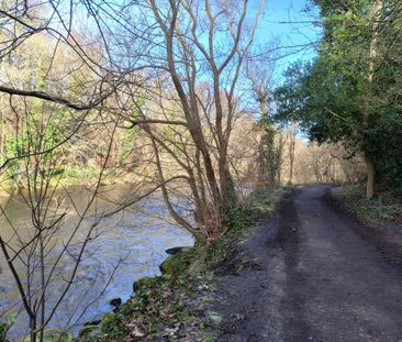 1 bedroom flat to rent - Photo 6