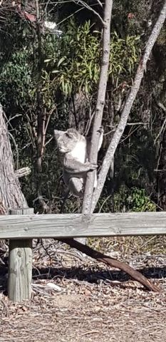 St Helens Park - Photo 2