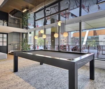 Appartement à louer - Montréal (Ville-Marie) (Centre) - Photo 4