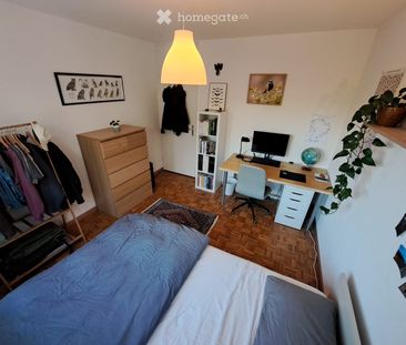 11 m² - Photo 3