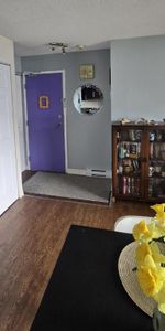 3 1/2 - Gatineau (Aylmer) - 1 595 $/mois - Photo 4