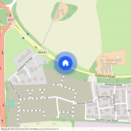 Redstart Place, Worksop S81