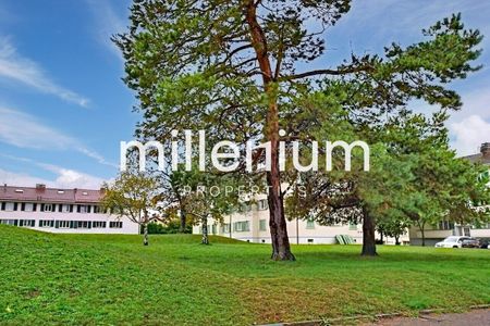 Maison mitoyenne à Confignon avec jardinet - Photo 2