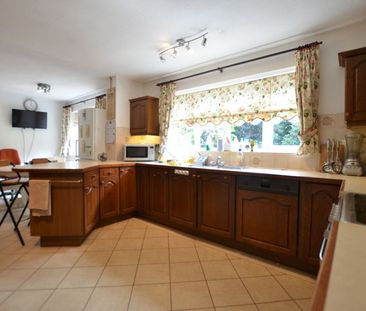 house to rent - Photo 3