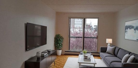 2 CH - 1 SDB - Saint-Jean-sur-Richelieu - $1,295 /mo - Photo 2