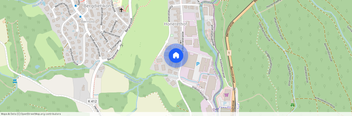 8962, Bergdietikon, Im Föhret, 7