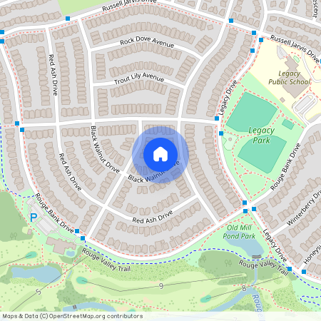 3 Black Walnut Drive, Markham
