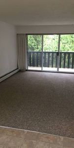 QUADRA/CLOVERDALE, quiet spacious 1 BR, - Photo 3