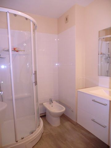 Location Appartement 2 pièces 53m² LIMOGES 87000 - Photo 4