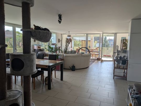 1 Zimmer, 14 m², 2. Stock - Photo 1